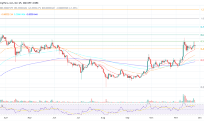 Shiba Inu Team Petitions Binance For Enhanced Ecosystem Support