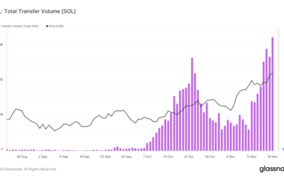 Solana On-Chain Activity Skyrockets As Transfer Volume Hits Record-Breaking Heights