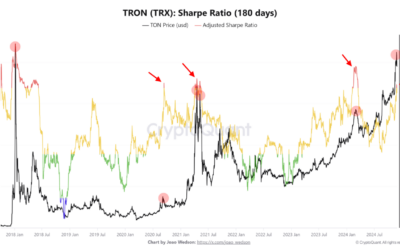 Tron (TRX) Sharpe Ratio Shoots High-Risk Signal, Price Crash Incoming?