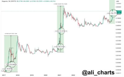 Will Dogecoin Repeat History? Past Cycle Trends Hints At Two Critical Potential Pullbacks