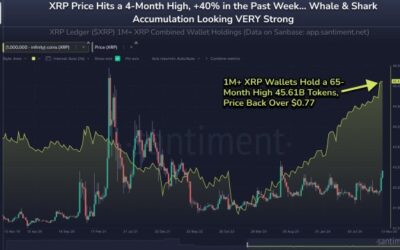 XRP Whales On A Buying Spree: Wallets Holding 1M+ Tokens Reaches Historic Accumulation Level