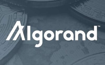 Algorand Price Surge: ALGO Reaches Two-Year High with Record Open Interest and TVL