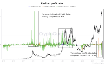 Are Bitcoin Whales Still Holding For Higher Profit? This On-Chain Signal Suggests So