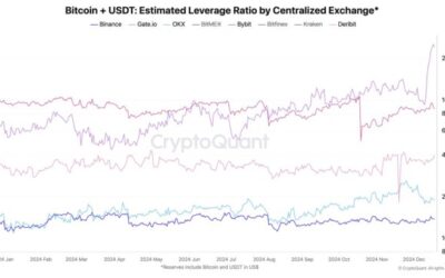 Binance Leads CEXs In Leverage Ratio As Crypto Bull Run Approaches: Report