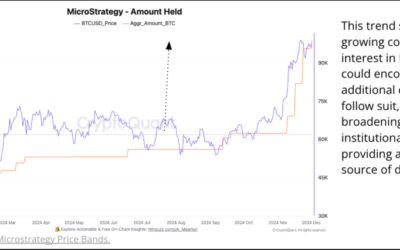 Bitcoin ETFs Surpass Satoshi’s Holdings, Blockchain Firm Breaks Down Institutional Adoption In 2024