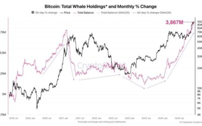 Bitcoin Large Players Hold 3.867M BTC – Metrics Reveal Whales Keep Growing