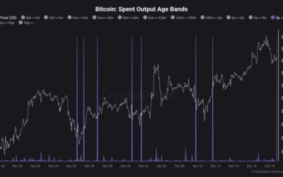 Bitcoin Whale Moves 72,000 BTC Aged 5-7 Years – Top Signal Or Altseason?