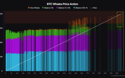 Bitcoin Whales Ramp Up Accumulation – Another Price Surge To Follow?