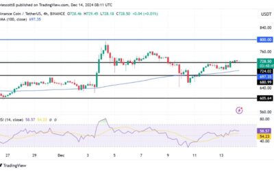 BNB Bulls Regain Momentum: Is A Break Past $800 Resistance Imminent?