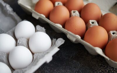 Costco Recalls Eggs After FDA Warns of Salmonella Risk