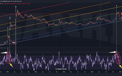 Dogecoin Price Action: What To Expect As The DOGE RSI Climbs To 90% Once Again