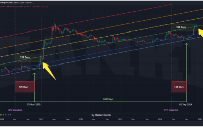 Dogecoin Price Analysis: Why A Red Close Below $0.465 This Week Is A Good Thing For Price