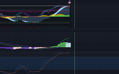 Dogecoin Price Is Flashing Its First Sell Signal Since This Bull Run Began, Analyst Reveals What To Watch Out For