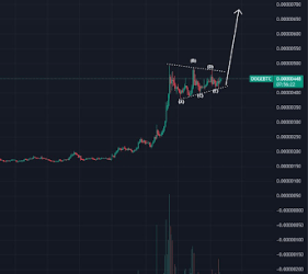 Dogecoin Price Primed For ‘Violent’ 60% Move Against Bitcoin If This Happens