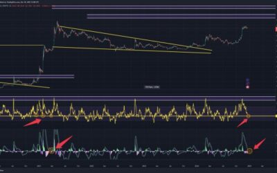 Dogecoin Rally Ahead: Expert Pinpoints Timing For Next Major Price Surge, Here’s When