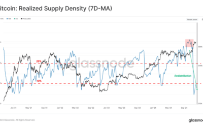 Risk Metrics Flash Red: Early Signs of Demand Exhaustion in Crypto Market