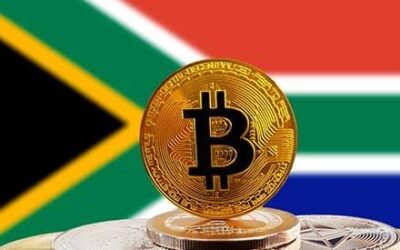 Senior South African politician suggests country invest in Bitcoin ($BTC)