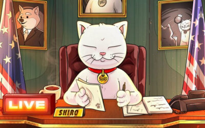 Shiro Neko Achieves $1 Billion Market Cap on Day One