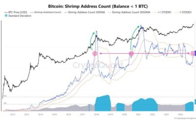 Small-Scale Bitcoin Wallets Are Booming: Addresses With Less Than 1 BTC Surges