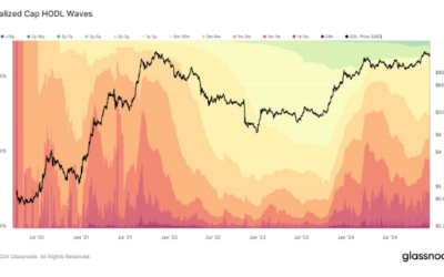 Solana Investors Double Down: New Long-Term Holders Signal Confidence In 2024 Rally Continuation