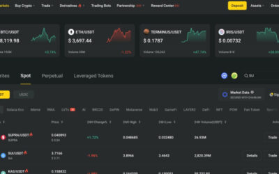 $SUPRA Token Lists on BYDFi with 304.30% Weekly Price Increase