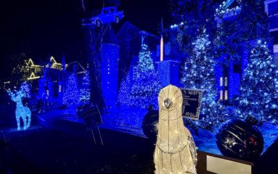 Take A Trip To The Yule Ball At The Harry Potter House in Austin