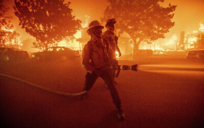 Critics Choice Awards announce new date after postponing ceremony as devastating wildfires rage across LA