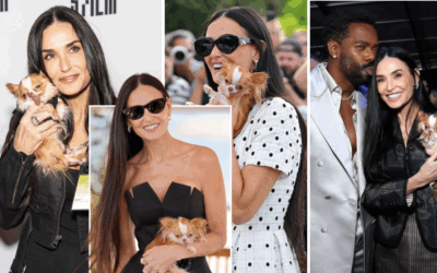 The cutest plus-one a star could ask for: Every time Demi Moore has walked the red carpet with her pup Pilaf